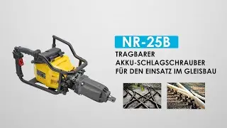 CEMBRE - NR-25B - TRAGBARER AKKU-SCHLAGSCHRAUBER ECOIMPACT