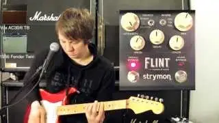 Stereo Strymon Flint Demo