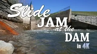 Slide Jam at the Dam - Longboarding in 4k