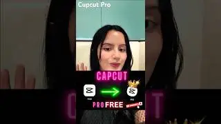 The BIG Difference Between CapCut Pro and Canva AI for Video Editors