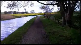 Pineys Berms n Jumps