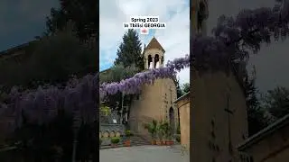 Spring 2023 #georgia #shortsvideos_ #tbilisi  in Tbilisi GEORGIA🇬🇪