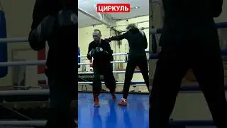 Хитрый и коварный циркуль в боксе#shorts