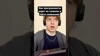 Как программисты ходят на созвоны в айти компаниях