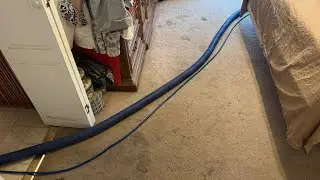 Severe Pet Stains ☎️ Jet Stream Clean!! ￼#jetstreamclean #couchcleaning #carpetcleaning #opelikaal