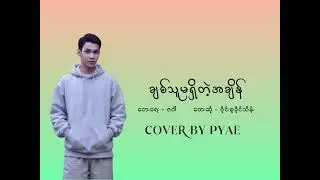 ချစ်သူမရှိတဲ့အချိန် - Wyne Su Khaing Thein (Cover By PYAE)