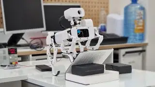 Continuity Rover: Balancing and feet lifting exercise