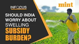 Modi Govt's Fertilizer Subsidy Burden Zooms To ₹3.7 Trillion; Cause For Worry? | Details | In Focus