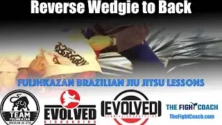 FBJJ - Reverse Wedgie to Back (Half Guard)