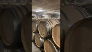Barrel Cellar at Kumeu River Winery #winelover #chardonnay #wine #dcamw #oakbarrels #kumeuriver
