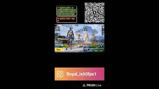 Live streaming of Royal gaming