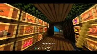 MC RP Review - 
