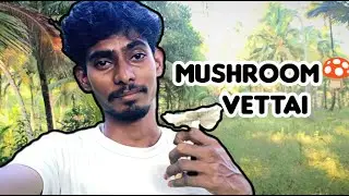 Mushroom 🍄 வேட்டை 🕵️  | Mr Bagavathi | #mushroom