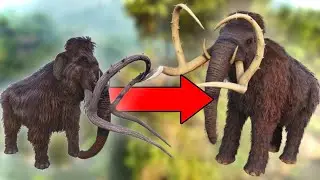 Каждое существо с обновлением TLC в Ark!