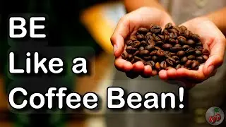 Be Like A Coffee Bean | Motivational Video
