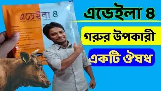 এভেইলা ৪ কি কাজ করে ও এভেইলা ৪ এর ব্যবহার । গরুর খামার ২০২১ । এভেইলা ৪ কি কাজ করে