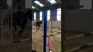 I jumped  60 cm for y&rsquo;all #equestrian #pony #ridingdares#riding #gypsycob #jumpingpony#requested