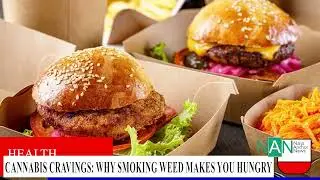 The Science Behind Cannabis Cravings & Appetite Stimulation(@FinanceNaijja )