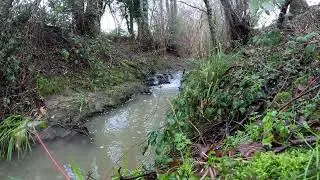 4k Calming Woodland Stream With Nature Sounds - No Music
