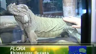 Inside Lake Forest - Wildlife Discovery Center