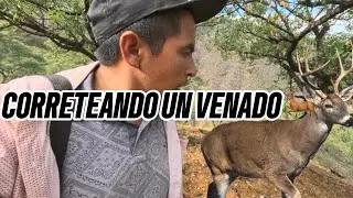 NOS FUIMOS A BUSCAR UN VENADO DESPUÉS DE LA QUIPATA⛈️