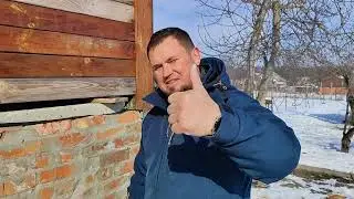 Голуби едут в Америку 🇺🇲 к Анатолию #pigeon #birds