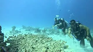 fun diving