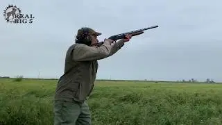 High Volume Dove Shooting, Argentina