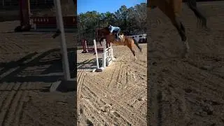 Good horsey (please don&rsquo;t judge my eq its so bad on him) #fyp #badeq #horse
