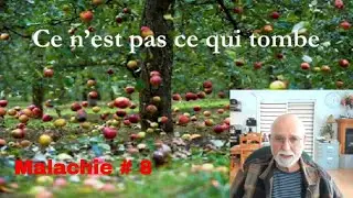 Le r&eacute;sidu pieux