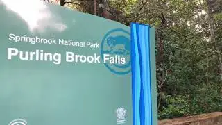 Purling Brook Falls | Springbrook National Park | #queenslandaustralia #waterfall #purlingbrookfalls
