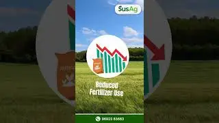 Maxxelo Bio Fertilizer &ndash; Boost Yield, Improve Soil Health, Fight Plant Diseases Naturally 🌱💪