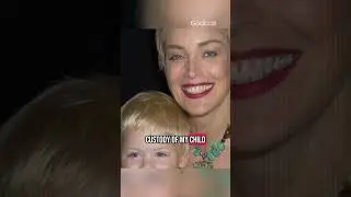 Basic Instinct Destroyed Sharon Stone&rsquo;s Family