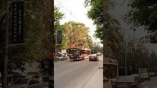 АДМИРАЛ 1407 🚎 МОЙ ЛЮБИМЫЙ 🚎❤️