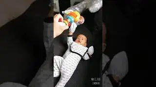 VTech Rattle & Sing Puppy - French Edition | 1-3 months | May-Jun, 2020 | Klay Thomas