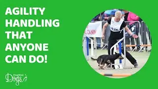 OneMind Dogs - one agility handling method, multiple ways of handling!