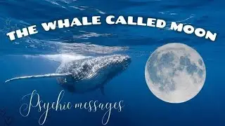 Nettles Tea reading April 22, 2025 from The Whale Called Moon 🐳 #teareading #thewhalecalledmoon