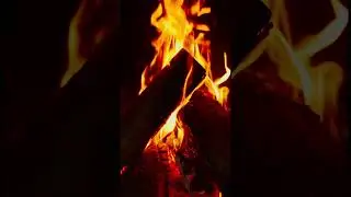 Fire #stressrelief #fireplaceasmr #holidaycalm #relaxingsounds #4kfire #fireasmr #sleepaid #fyp