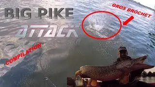 100% ATTAQUE de OUF de BROCHET/  sp&eacute;cial les oubli&eacute;s 2021