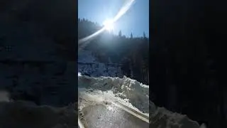 #narkanda#uppershimla#kinnaur #nature #youtubeshorts #mountain #travel