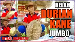Belah DURIAN KANE Jumbo!!
