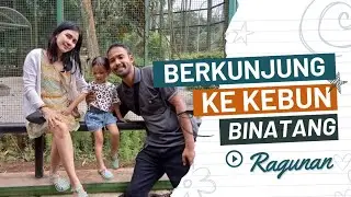 WAH SERU !! LIHAT BINATANG DI KEBUN BINATANG RAGUNAN