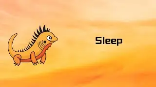 Zig | How to pause the execution | sleep | Tutorial 92