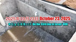 PyraPOD with iAVs in Qingdao (43): On the 43rd day after breaking the ground on September 11, 2025
