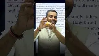 The Science of Kota Kachori: Protein, Starch & Pyrenoids Explained | #neet2026