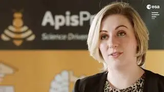 How Satellite Communications Technology is helping Apis Protect monitor the Health of the  Honeybee