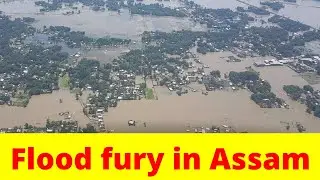 Assam Flood: 27 Districts Hit By Floods, Severe Damage To Biodiversity