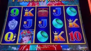 Dragon Link Slot Machine 🐉⛓️🎰| Peacock Princess+ Autumn Moon Casino Session 🍁🦚