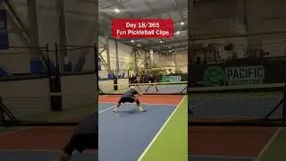 Day 18 of 365 Fun Pickleball Clips #shorts #pickleball #sports #highlights