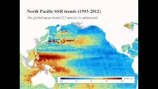 Western Pacific sea level and winds